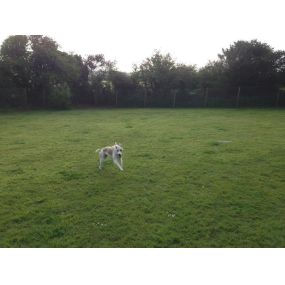 Bild von Briggan Farm Boarding Kennels