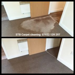 Bild von S T B Carpet Cleaning