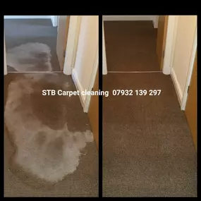 Bild von S T B Carpet Cleaning