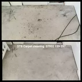 Bild von S T B Carpet Cleaning