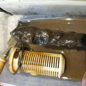 Bild von RSV Emergency Plumbing & Drainage