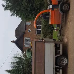 Bild von P Kernan Tree Surgeon Ltd