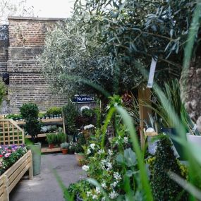 Bild von The Nunhead Gardener