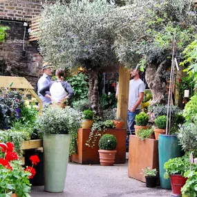 Bild von The Nunhead Gardener