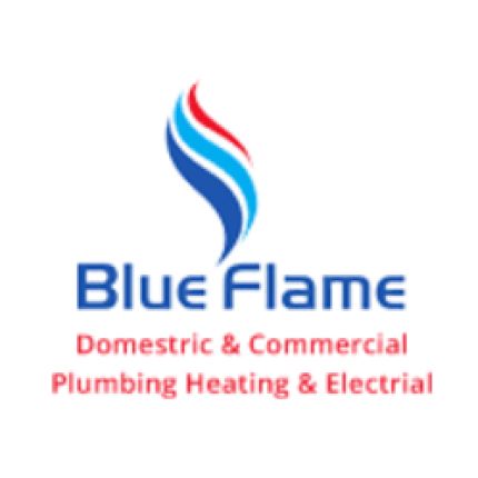 Logo van Blue Flame Services Ltd