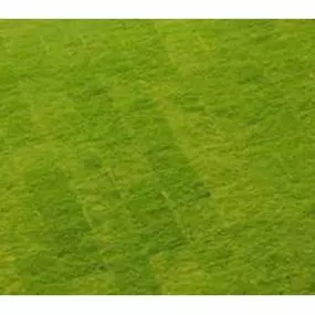 Bild von J R Turf