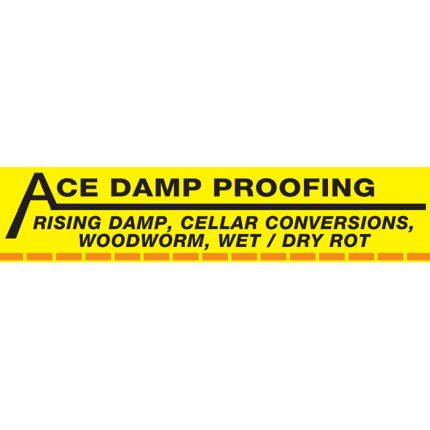 Logo from Ace Damp Proofing