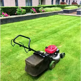 Bild von 4 Seasons Lawn & Garden