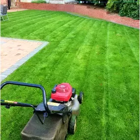 Bild von 4 Seasons Lawn & Garden