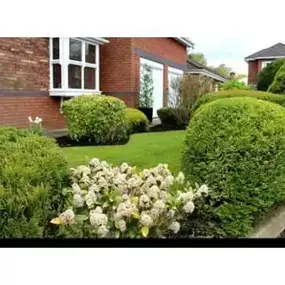 Bild von 4 Seasons Lawn & Garden