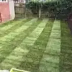 Bild von 4 Seasons Lawn & Garden