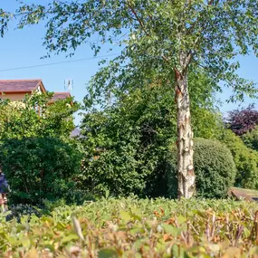 Bild von 4 Seasons Lawn & Garden
