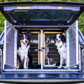 Bild von Animal Transit Boxes Ltd