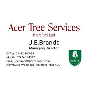 Bild von Acer Tree Services Ltd