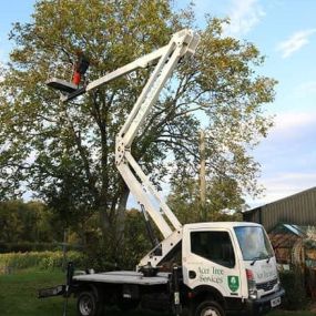 Bild von Acer Tree Services Ltd