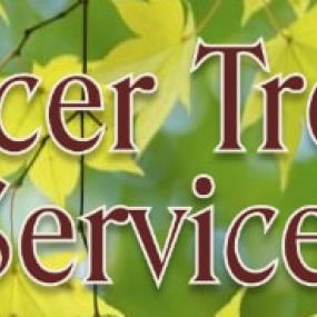 Bild von Acer Tree Services Ltd