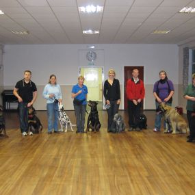 Bild von 3 Counties Dog Training