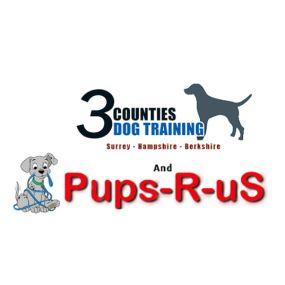 Bild von 3 Counties Dog Training