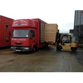 Bild von Thistle Removals