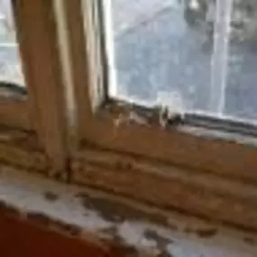 Bild von Sash Renovations Ltd