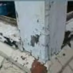 Bild von Sash Renovations Ltd
