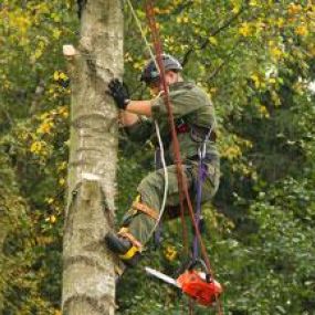 Bild von Countryside Training & Tree Management Ltd