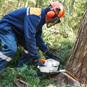 Bild von Countryside Training & Tree Management Ltd