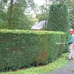 Bild von C & R Services