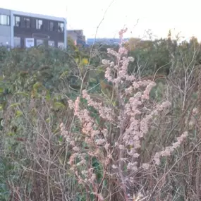 Bild von C & R Services