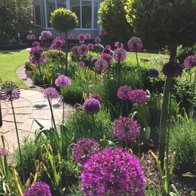 Bild von P & G Landscapes & Design