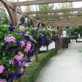 Bild von Greenbrook Garden Centre