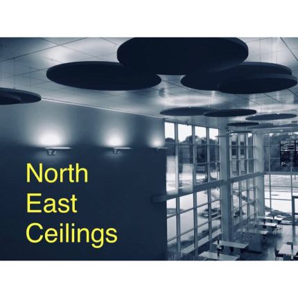 Logotyp från North East Ceilings Ltd