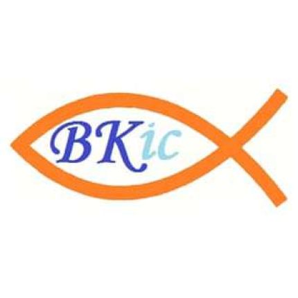 Logo fra BKIC Ltd