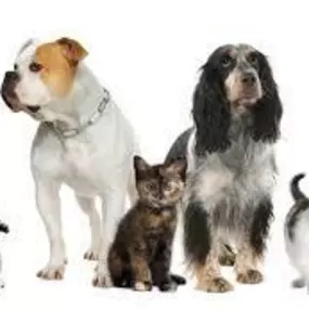 Bild von Swinfen Veterinary Centre