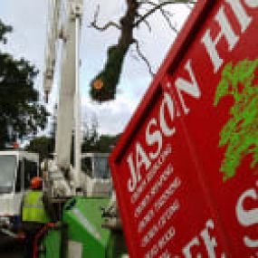 Bild von Jason Higgins Tree Services