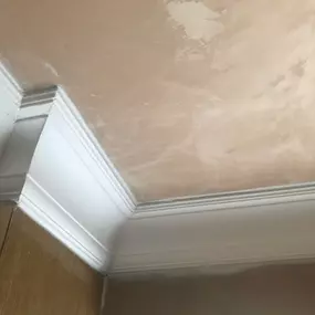 Bild von Mark Newby Plastering