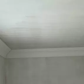 Bild von Mark Newby Plastering