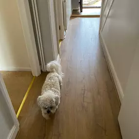 Bild von SOS Carpets & Flooring