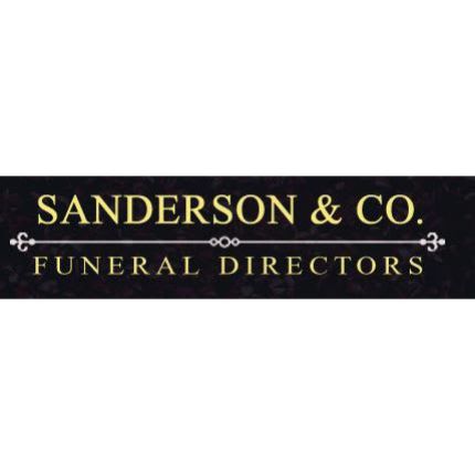 Logo from Sanderson & Co