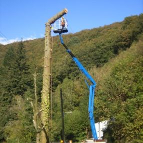 Bild von Arboricare Ltd