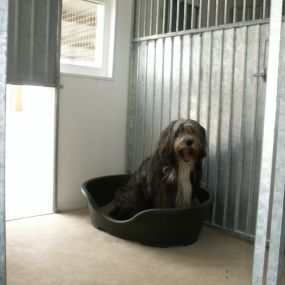 Bild von Crestlands Boarding Kennels & Cattery