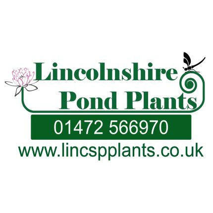 Logo de Lincolnshire Pond Plants Ltd and Lincolnshire Fruit