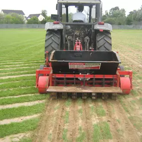 Bild von Curran Sports Grounds Ltd