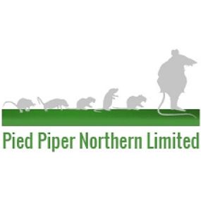 Bild von Pied Piper Northern Ltd