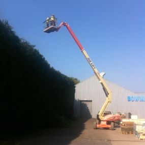 Bild von South Midland Tree Services Ltd