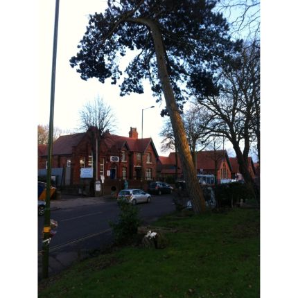 Logotipo de South Midland Tree Services Ltd