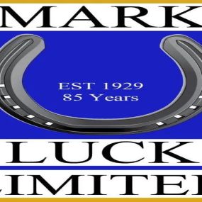 Bild von Mark Luck Ltd