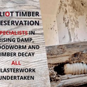 Bild von Elliot Timber Preservation