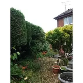Bild von Fix Up Handyman & Gardening Services