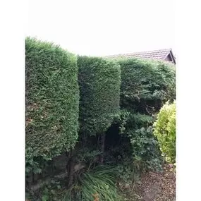 Bild von Fix Up Handyman & Gardening Services